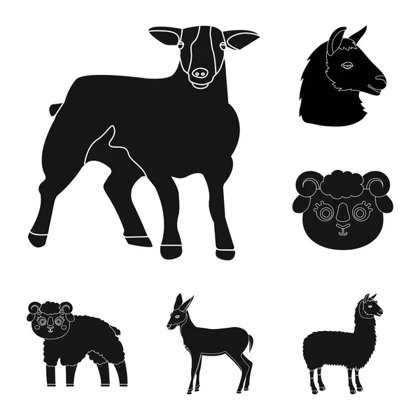 Изолированный предмет иконы овец и коз. Набор овец и счастливая векторная иллюстрация запасов . — стоковый вектор