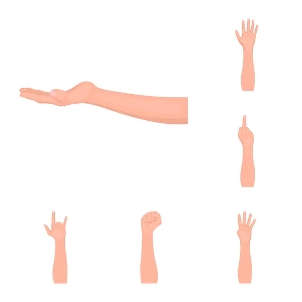 Geïsoleerde object van animatie en duim logo. Inzameling van geanimeerde en gebaar voorraad vectorillustratie. — Stockvector