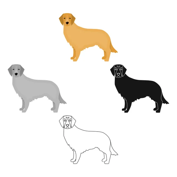 Retriever single icon in cartoon style.Retriever vector symbol stock illustration web. — Stock Vector