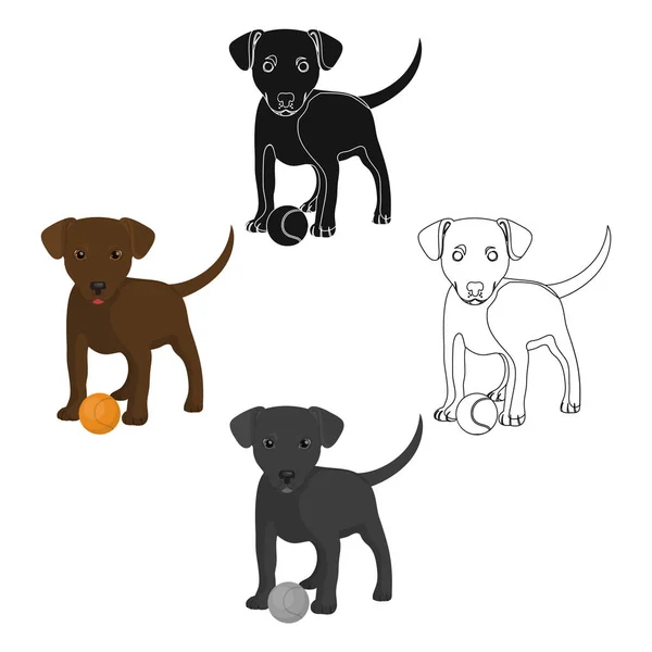 Mascota Cachorro Con Una Pelota Mascotas Cuidado Del Perro Icono — Vector de stock