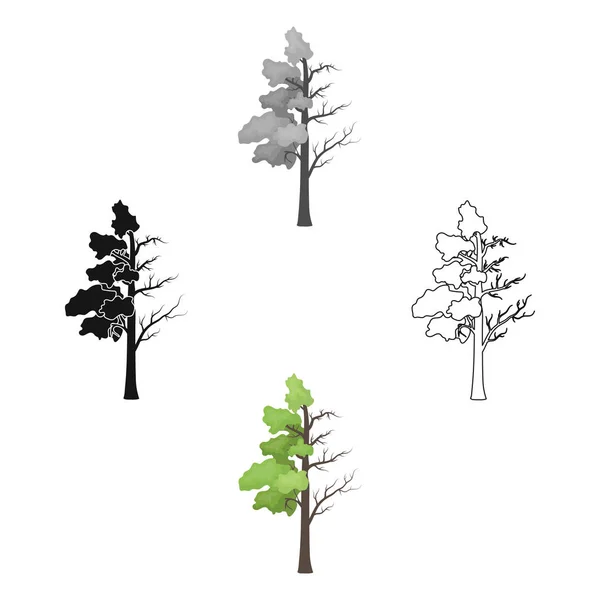 Strom, poloprázdná zelené listy a polovinu suché ikony ve stylu osnovy izolovaných na bílém pozadí. Bio a ekologie symbol akcií vektorové ilustrace. — Stockový vektor