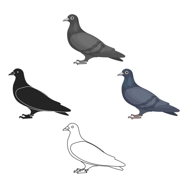 Icono de paloma en estilo de dibujos animados aislado sobre fondo blanco. Pájaro símbolo stock vector ilustración . — Archivo Imágenes Vectoriales