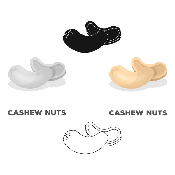 Cashew nuts.Different kinds of nuts single icon in cartoon style vector symbol stock illustration. — Stock Vector