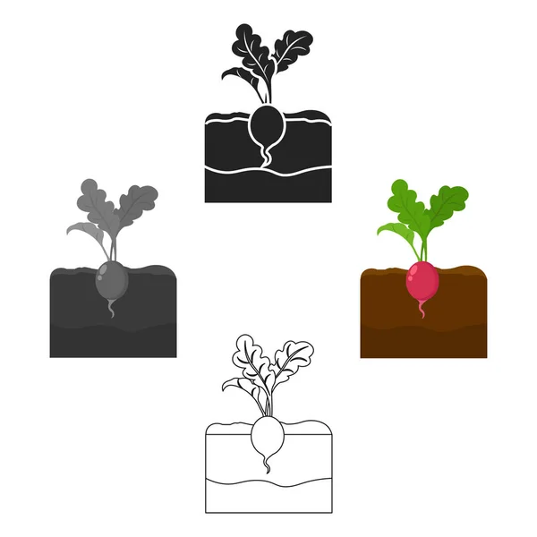 Рослинні, рослинні мультиплікаційні іконки в наборі колекції для дизайну. Сад і урожай Векторний символ стоковий веб-ілюстрація . — стоковий вектор