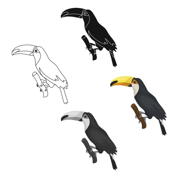 Brasilianska toucan ikonen i tecknad stil isolerad på vit bakgrund. Brasilien land symbol lager vektorillustration. — Stock vektor