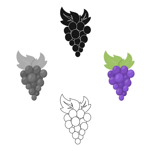 Icono de uvas de dibujos animados. Singe icono de la fruta de la caricatura de alimentos . — Vector de stock