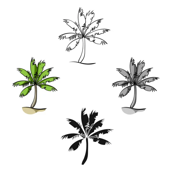 Παλάμη δέντρο εικόνα σε στυλ καρτούν που απομονώνονται σε λευκό φόντο. Εικονογράφηση διάνυσμα απόθεμα σύμβολο σερφ. — Διανυσματικό Αρχείο