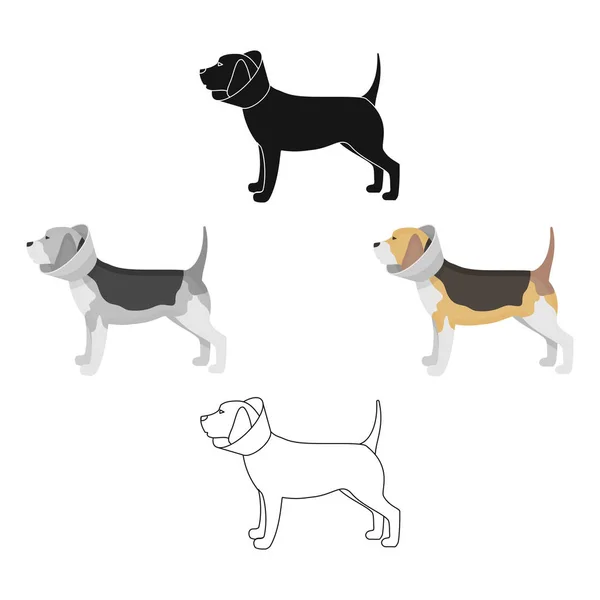 Hund mit elizabethanischem Halsband im Cartoon-Stil isoliert auf weißem Hintergrund. Tierklinik Symbol Aktienvektor Illustration. — Stockvektor