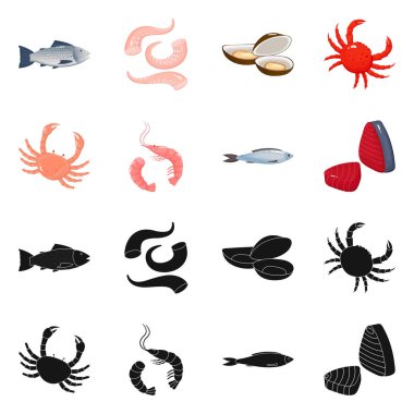 Taze ve restoran logosu yalıtılmış nesne. Hisse senedi için taze ve deniz vektör simge kümesi.