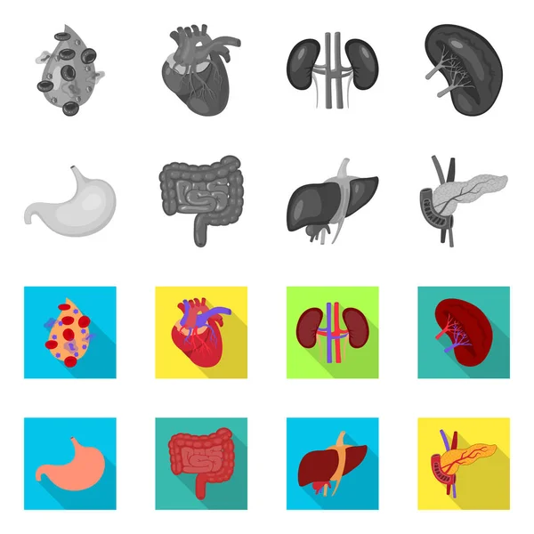 Progetto vettoriale di biologia e simbolo scientifico. Raccolta di biologia e illustrazione vettoriale di laboratorio . — Vettoriale Stock