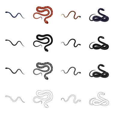 Memeli ve tehlike sembolü yalıtılmış nesne. Hisse senedi için memeli ve tıp vektör simge kümesi.