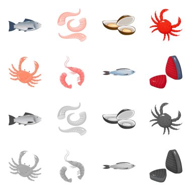 Taze ve restoran simge vektör tasarımı. Web için taze ve deniz hisse senedi simgesi kümesi.