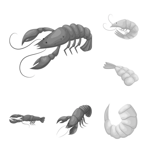 Vektor design av krabba och förrätt tecken. Uppsättning av krabba och havet vektor ikonen för lager. — Stock vektor