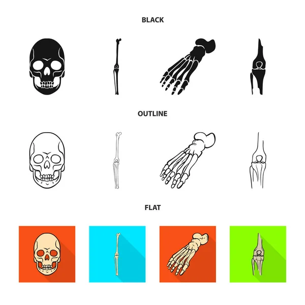 Objeto isolado da medicina e logotipo da clínica. Coleção de medicina e ilustração vetorial de estoque médico . — Vetor de Stock