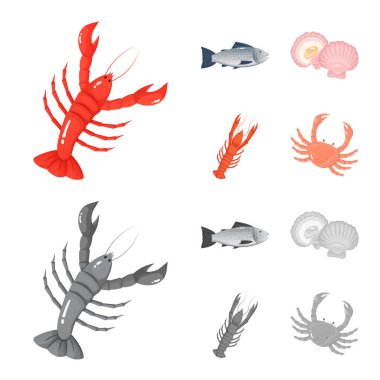 Vektör tasarımı taze ve restoran oturum açın. Hisse senedi için taze ve deniz vektör simge kümesi.