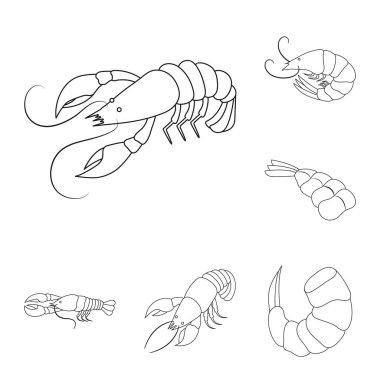 Gıda ve deniz simge vektör Illustration. Gıda ve hayvan hisse senedi vektör çizim.