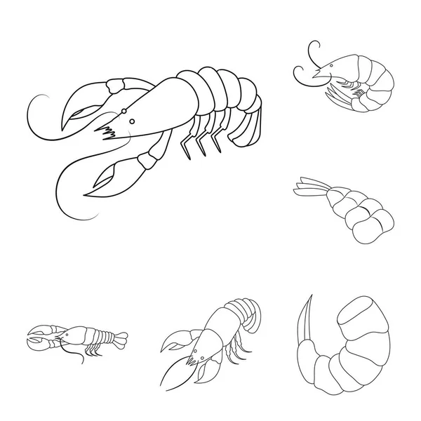 Векторная иллюстрация пищевой и морской иконы. Набор векторных иллюстраций для пищевых продуктов и животных . — стоковый вектор