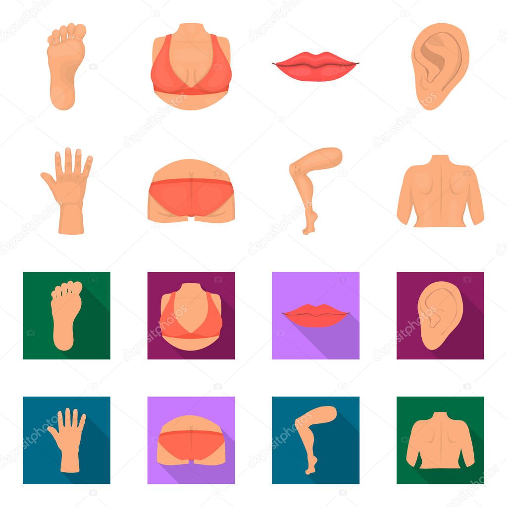 Isolated object of body and part icon. Set of body and anatomy vector icon for stock.