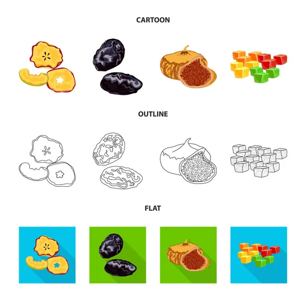 Illustrazione vettoriale di cibo e simbolo grezzo. Raccolta di icone vettoriali alimentari e naturali per le scorte . — Vettoriale Stock