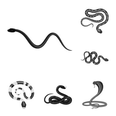 Zarar illüstrasyon vektör ve logo ısır. Zarar ve sürüngen hisse senedi simgesi için web topluluğu.