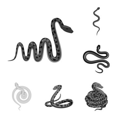 Zarar ve ısırık yalıtılmış nesne imzala. Zarar ve sürüngen hisse senedi vektör çizim topluluğu.