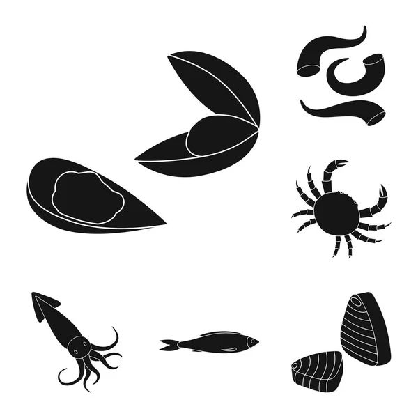 Diseño vectorial de mercado y logotipo marino. Conjunto de ilustración de vectores de mercado y mar . — Archivo Imágenes Vectoriales