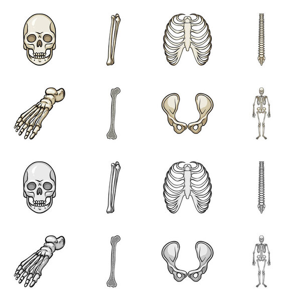 Векторная иллюстрация медицины и логотипа клиники. Набор лекарств и медицинского инвентаря для интернета
.