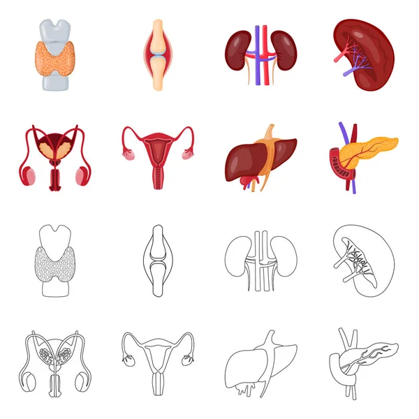 Ilustração vetorial da biologia e do signo científico. Coleção de biologia e ícone de vetor de laboratório para estoque . — Vetor de Stock