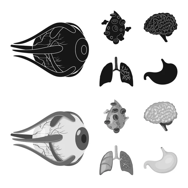 Illustration vectorielle de la biologie et symbole scientifique. Ensemble de biologie et symbole de stock de laboratoire pour la toile . — Image vectorielle