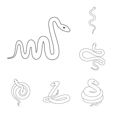 Yalıtılmış nesne bir zehir ve kötü işaret. Zehir kümesi ve hisse senedi için ısırık vektör simgesi.