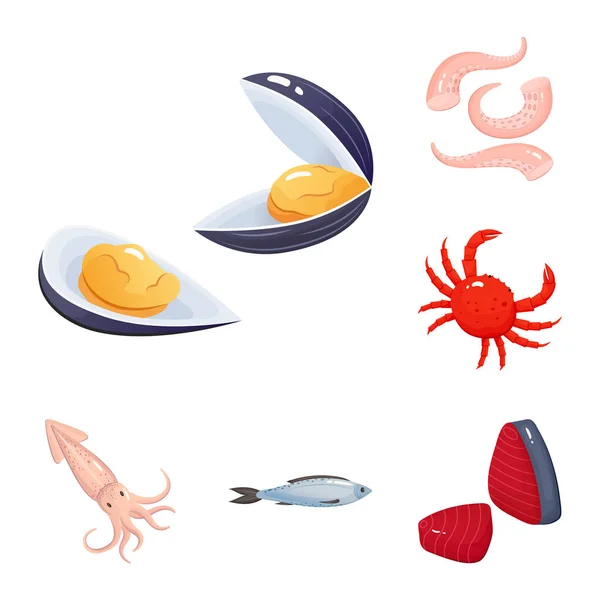 Projeto vetorial de comida e símbolo do mar. Conjunto de alimentos e símbolo de estoque saudável para web . — Vetor de Stock