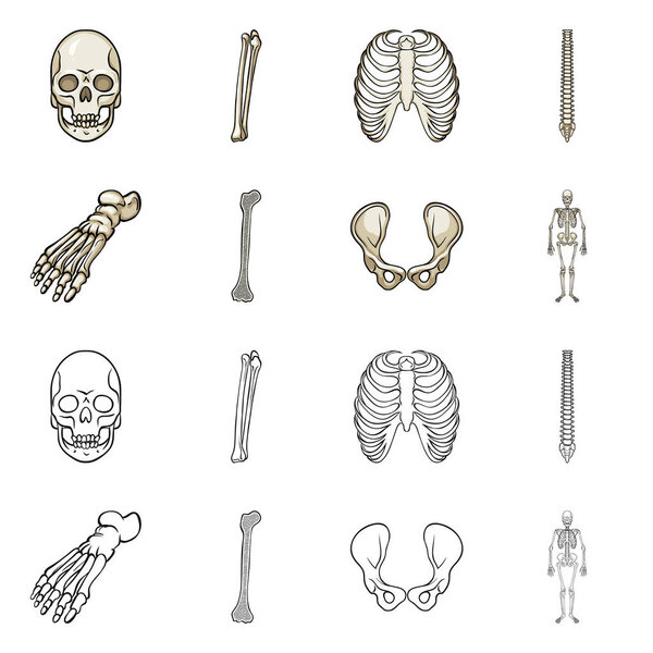 Векторное проектирование медицины и иконы клиники. Набор лекарственных средств и медицинских векторных значков для склада
.