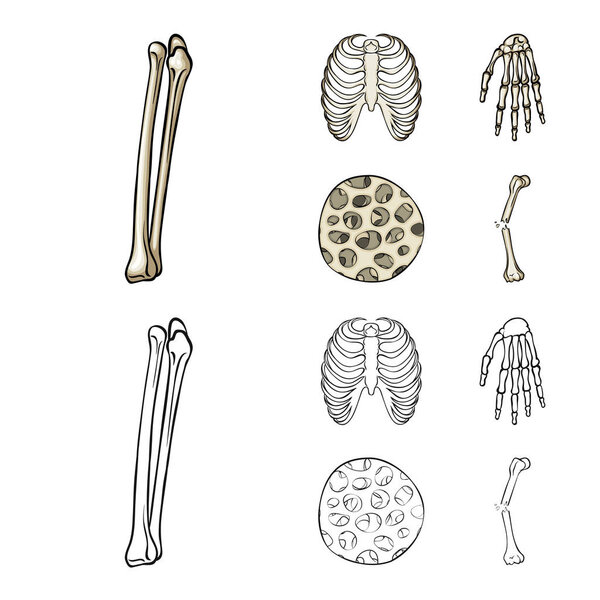 Векторная иллюстрация медицины и знака клиники. Набор лекарственных средств и медицинских векторных значков для склада
.