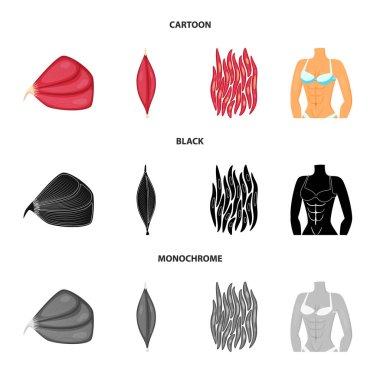 Lif ve kas logo vektör tasarımı. Web için lif ve vücut hisse senedi simgesi kümesi.