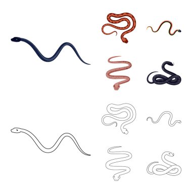 Memeli ve tehlike sembolü vektör tasarımı. Hisse senedi için memeli ve tıp vektör simge kümesi.