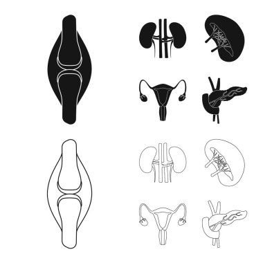 Biyoloji ve bilimsel simge yalıtılmış nesne. Hisse senedi için biyoloji ve laboratuvar vektör simge topluluğu.