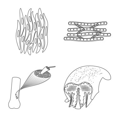 Lif ve kas simgesi yalıtılmış nesne. Lif ve vücut hisse senedi simgesi için web topluluğu.