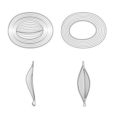 Lif ve kas işareti vektör Illustration. Set elyaf ve vücut hisse senedi vektör çizim.