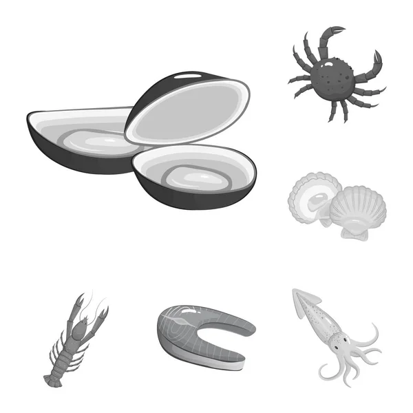Diseño vectorial de mariscos y símbolo saludable. Conjunto de mariscos y vectores oceánicos icono para stock . — Vector de stock