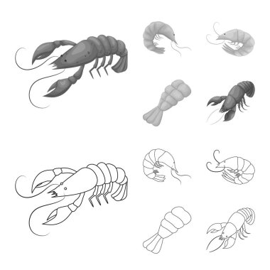 Meze ve okyanus simge vektör tasarımı. Meze ve incelik hisse senedi simgesi için web topluluğu.