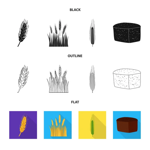 Vektorillustration av jordbruk och jordbruk tecken. Samling av jordbruk och växt lager vektorillustration. — Stock vektor