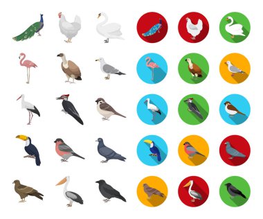 Kuş türleri karikatür, set koleksiyonu tasarım için düz simgeler. Ev ve vahşi kuş vektör simge stok çizim.