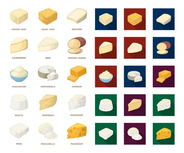 Différents types de dessin animé au fromage, des icônes plates dans la collection de set pour le design.Milk produit fromage vecteur symbole illustration web stock . — Image vectorielle