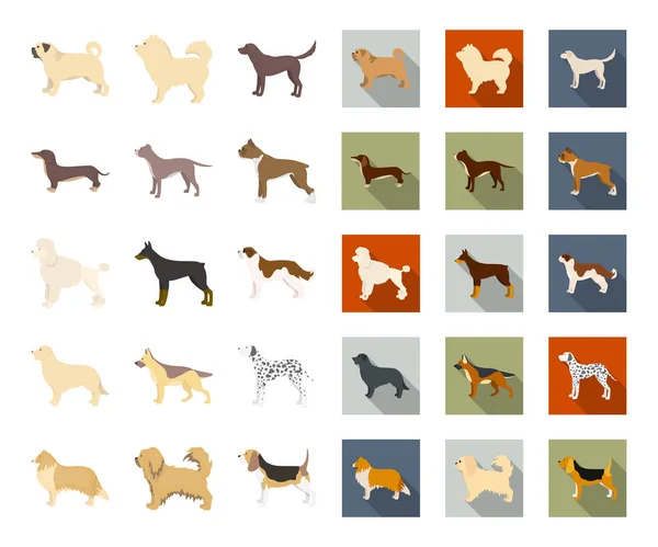 Rasy psów rysunek, płaskie ikony w kolekcja zestaw do projektowania. Pies pieścić wektor symbol akcji web ilustracja. — Wektor stockowy