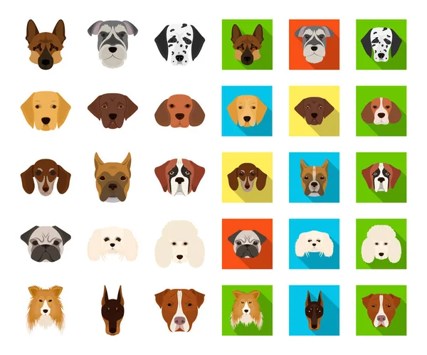 Perro razas de dibujos animados, iconos planos en la colección de conjuntos para design.Muzzle de un perro vector símbolo stock web ilustración . — Archivo Imágenes Vectoriales