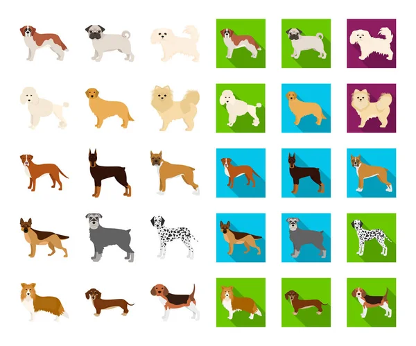 Raças de cães desenhos animados, ícones planas em coleção de conjuntos para design.Dog animal de estimação símbolo web ilustração . — Vetor de Stock