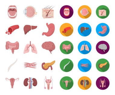 İç organların insan bir çizgi film, set koleksiyonu tasarım için düz simgeler. Anatomi ve tıp vektör simge stok web çizim.