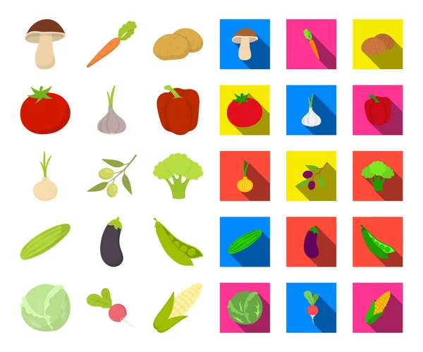 Différents types de dessins animés de légumes, des icônes plates dans la collection de set pour le design. Légumes et vitamines symbole vectoriel illustration web stock . — Image vectorielle