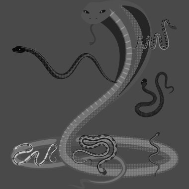 Yalıtılmış nesne zarar ve ısırık sembolü. Zarar ve sürüngen hisse senedi vektör çizim seti.