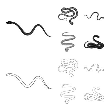 Mammal ve tehlike işareti vektör tasarımı. Memeli ve tıp hisse senedi simgesi web için kümesi.